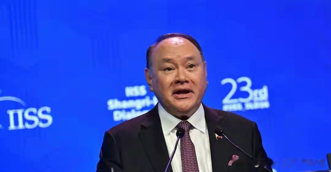 6月11日，中国外交部正式官宣，制裁菲律宾防长特奥多罗及配偶、子女 。原因很简单