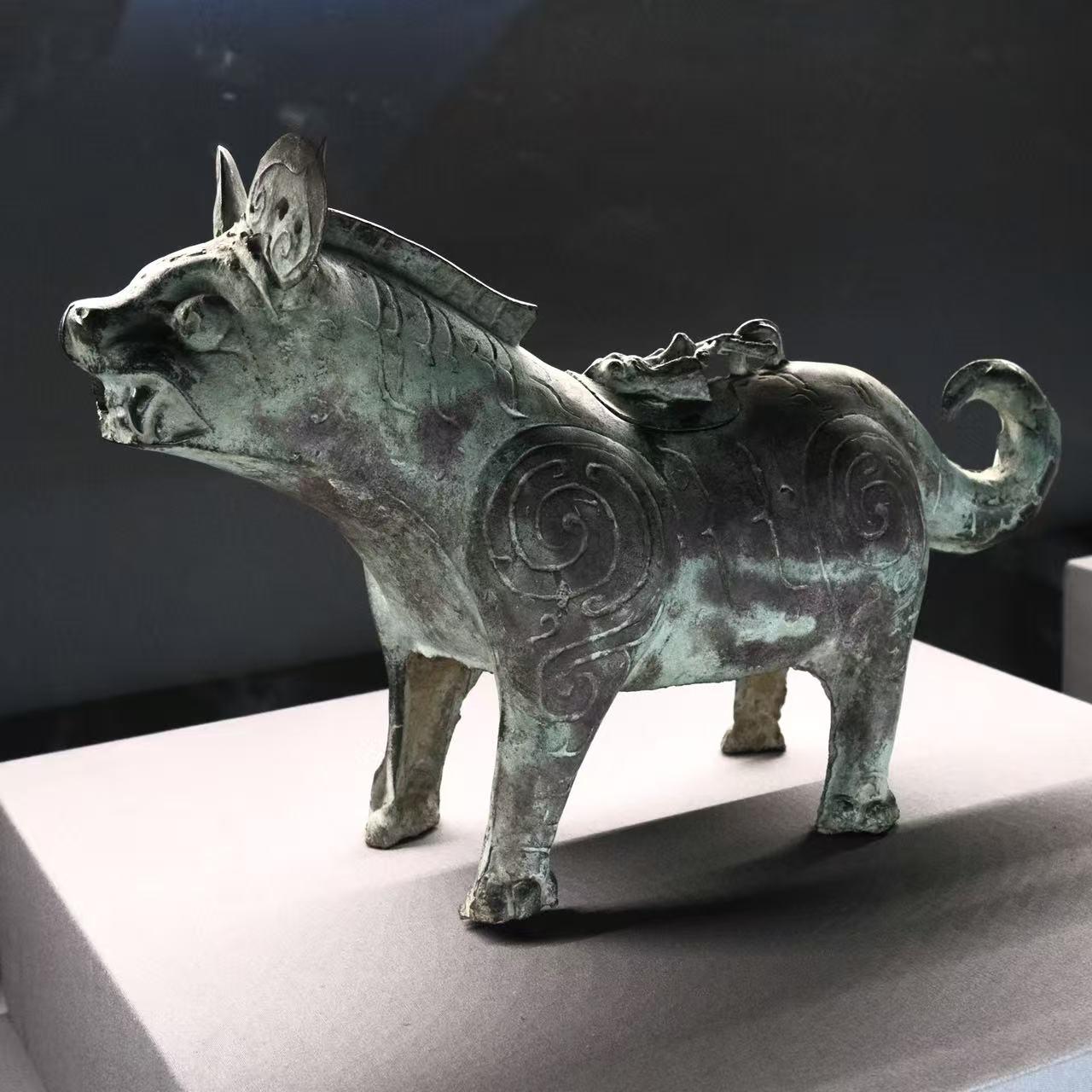 摄影大师从湖北荆州博物馆带回非洲鬣狗尊高清大图。 
现场的很多小朋友纷纷发出质疑