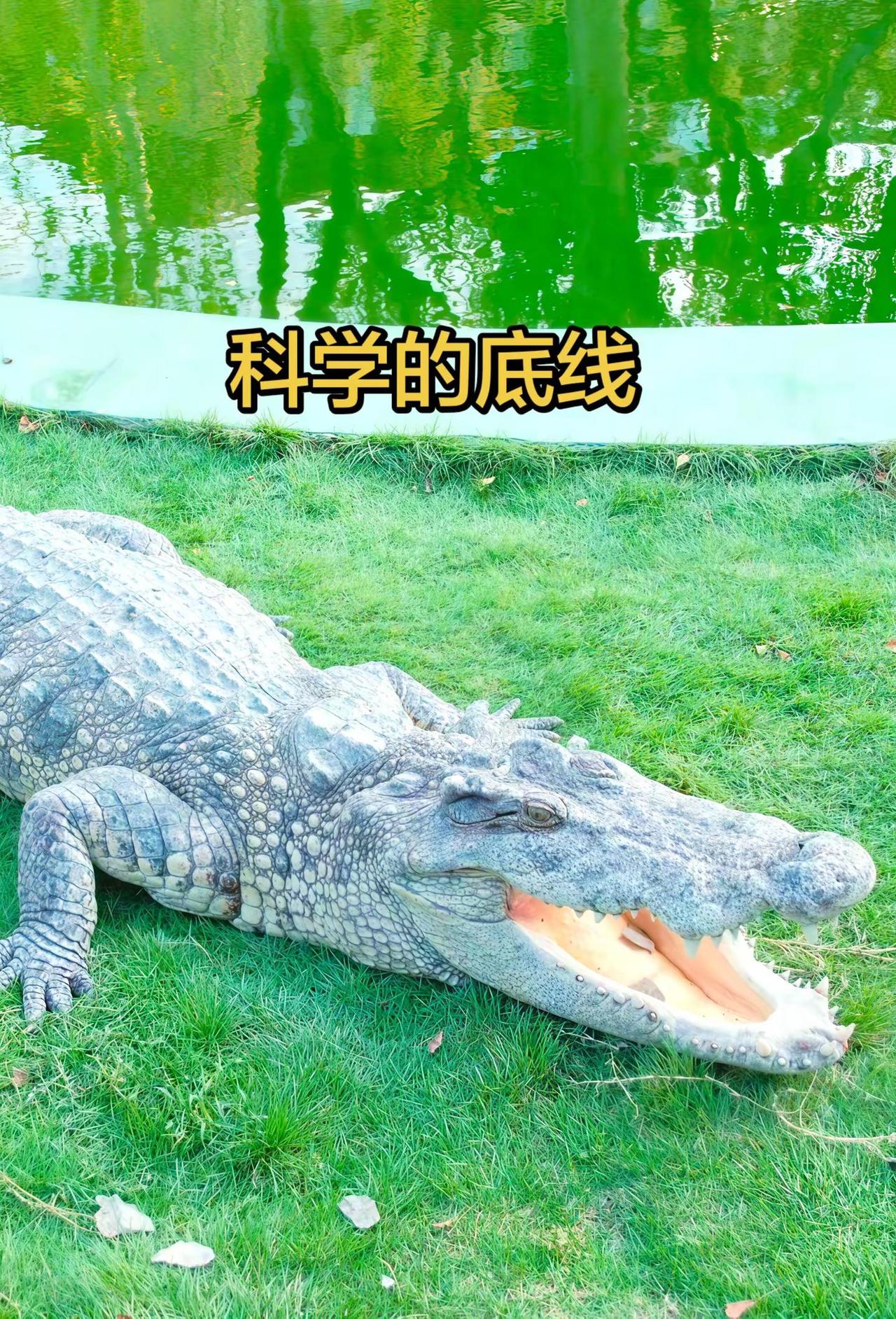 科学最低的底线，不应该是，保障有钱人永远不死