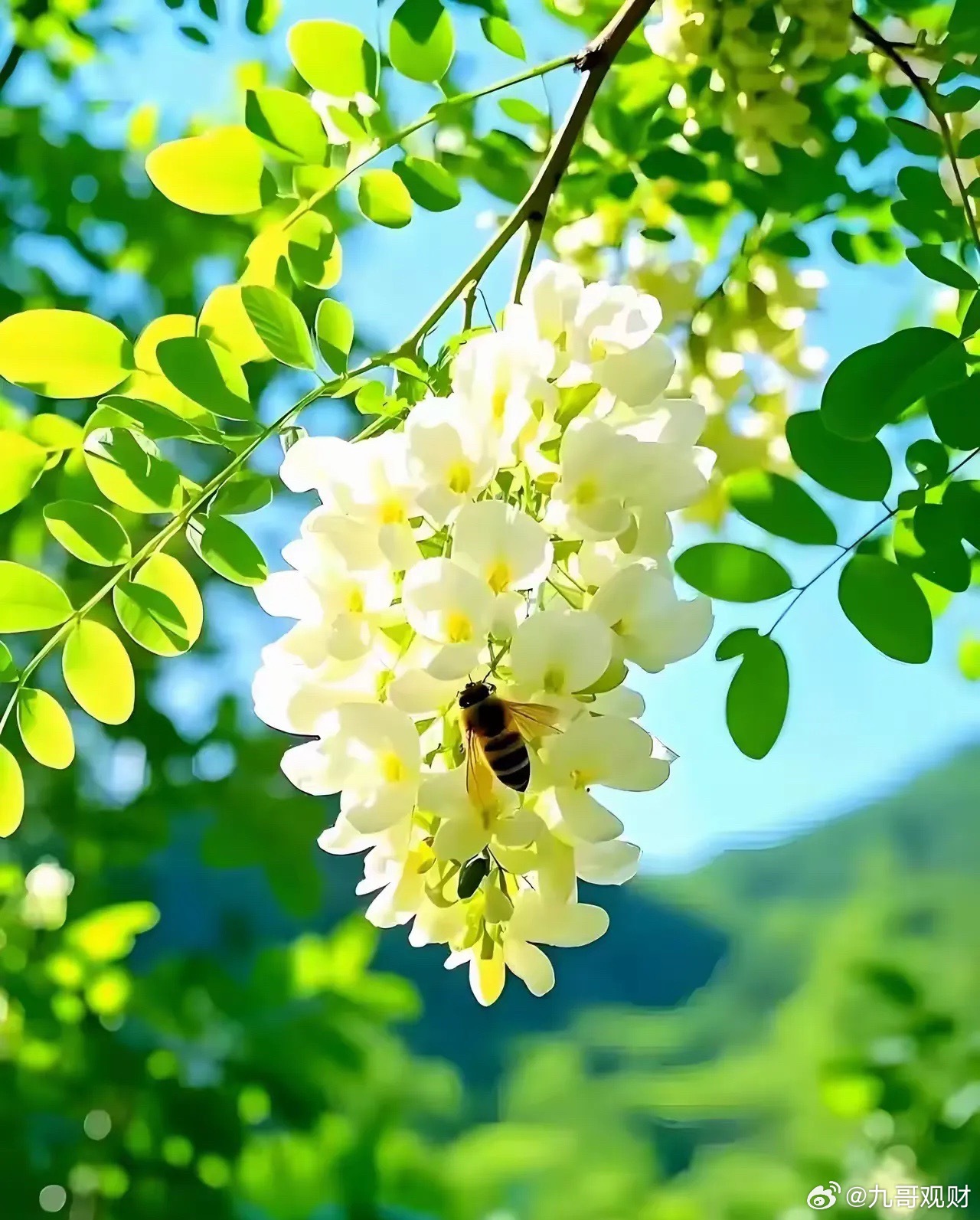 独处的八大好处———1，自由2、快乐3、安静4、舒坦5、专注6、随性7、自在8、