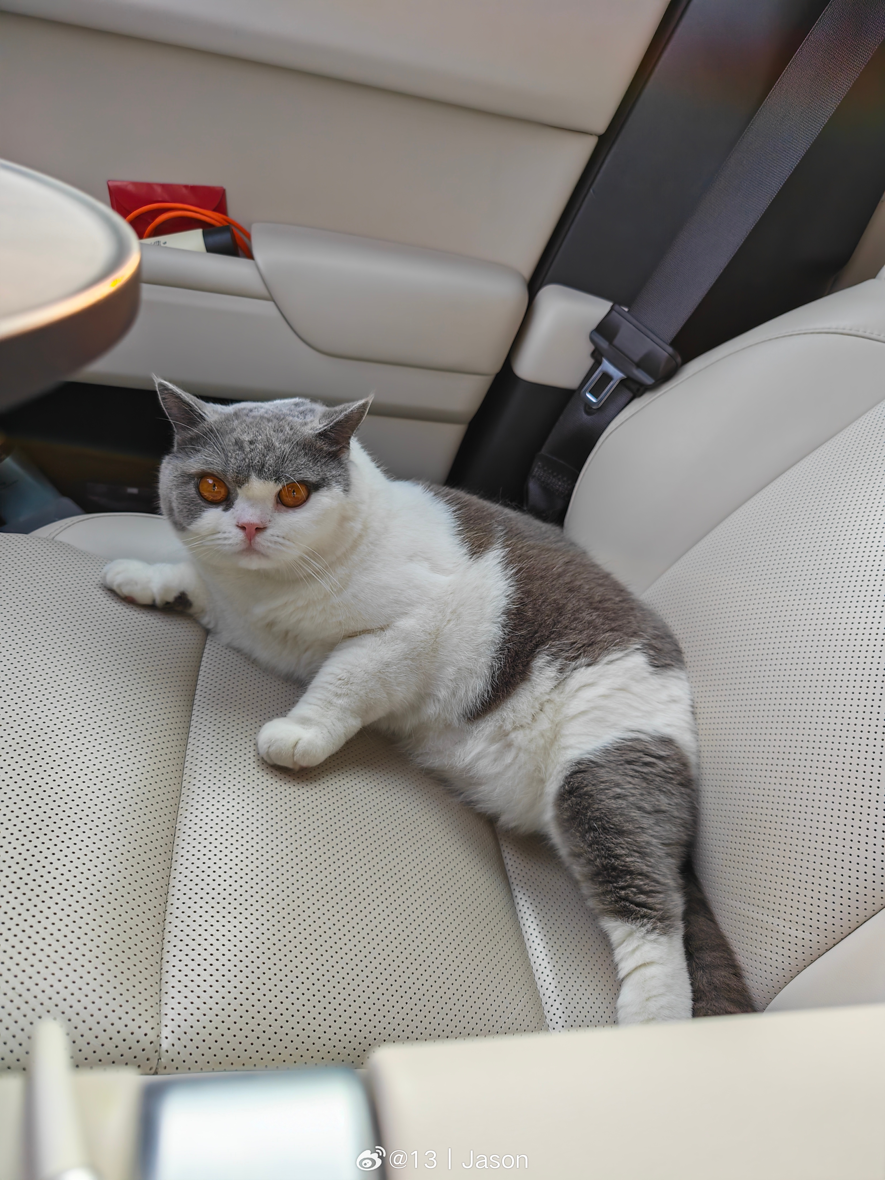 又时候带 GOOD 出门遛一遛了。 