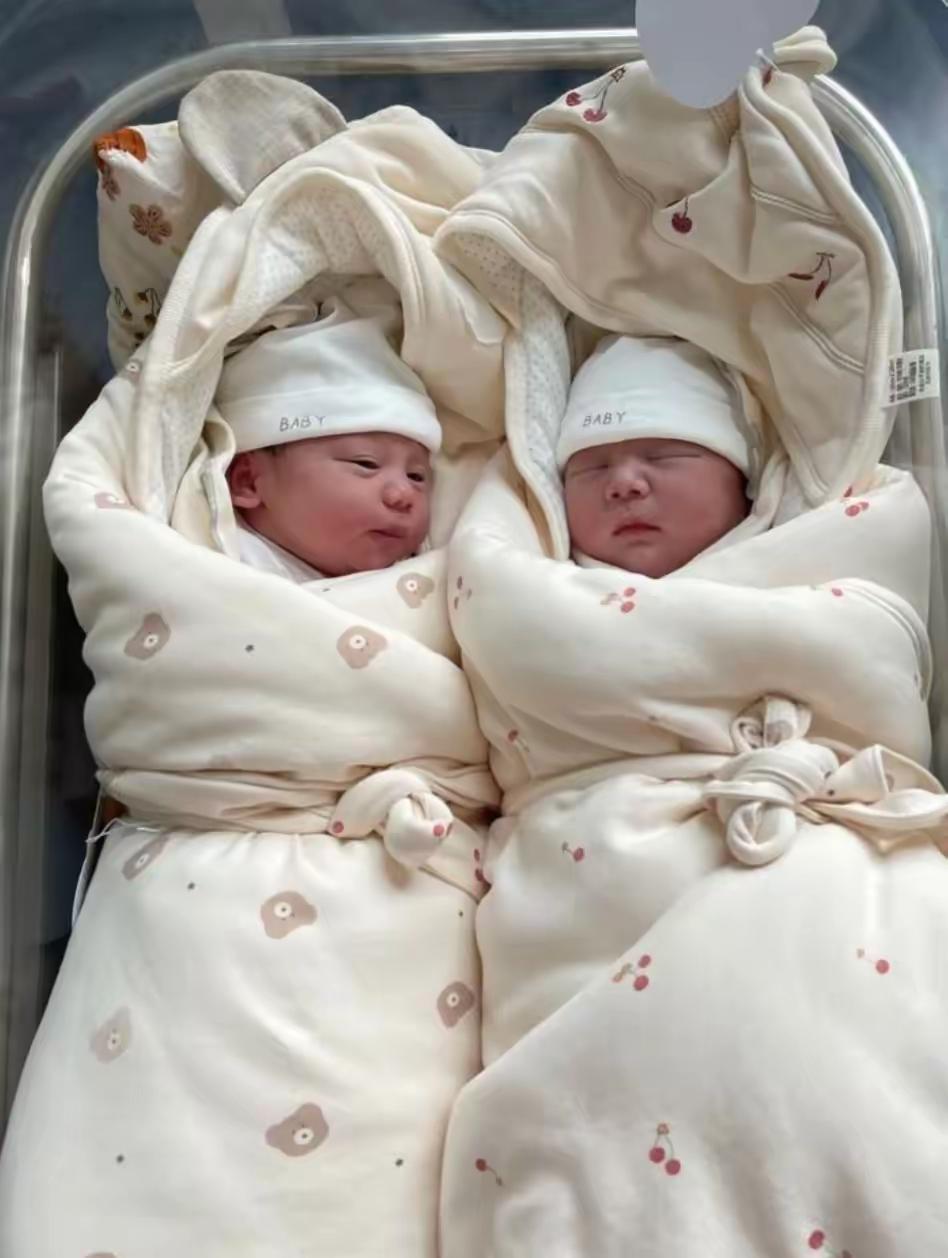 婚前算计彩礼、孕期玩消失！龙凤胎出生后男方跪求复婚，结局解气

气得人发抖！一女