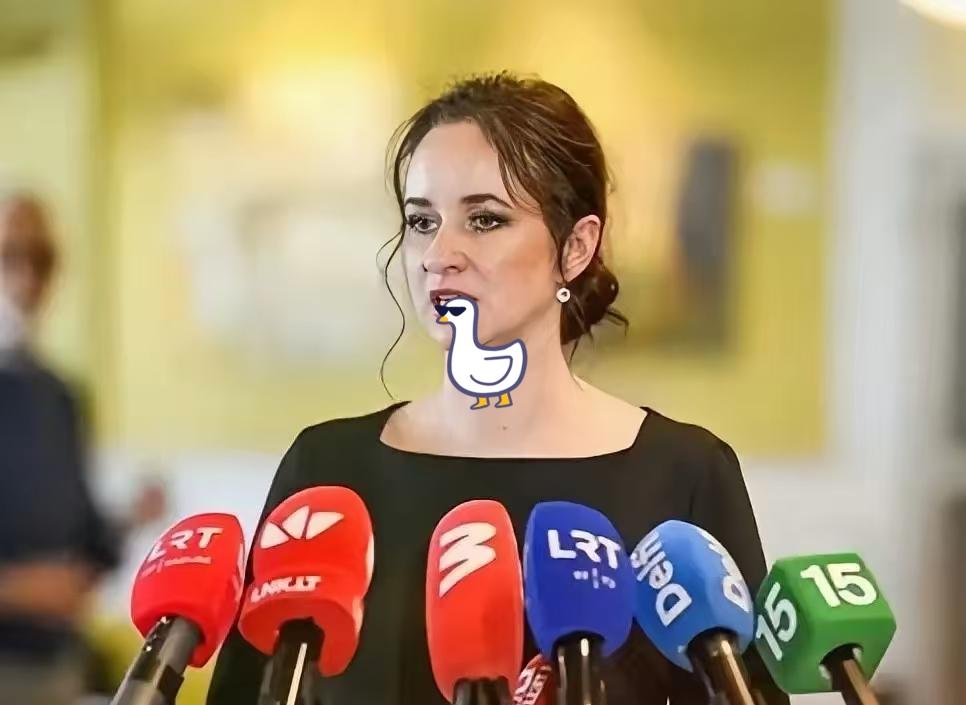 立陶宛对华示好藏硬伤：要复大使级关系，拒撤台代表处还抬国防开支

立陶宛新总理鲁