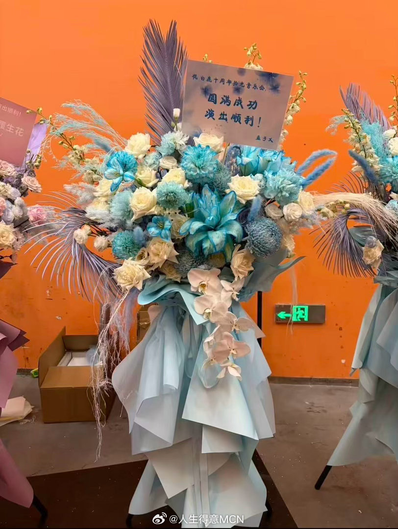 孟子义送白鹿花篮孟子义给白鹿见面会送花篮 孟姐给白鹿见面会花篮💐我们姐妹花，太