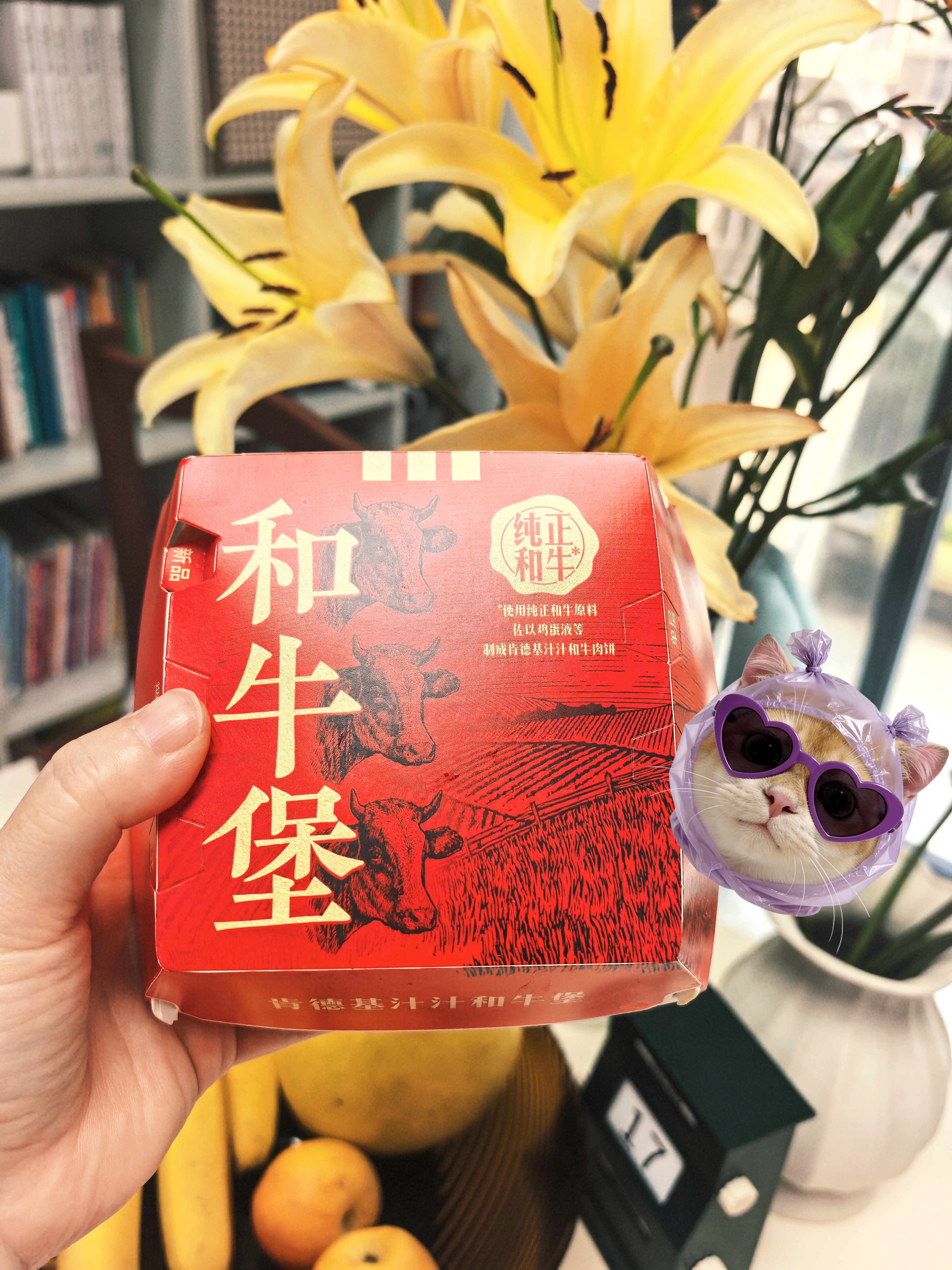 摩登兄弟[超话] 大儿已彻底爱上和牛堡[哈哈][哈哈][哈哈]刘宇宁肯德基品牌代