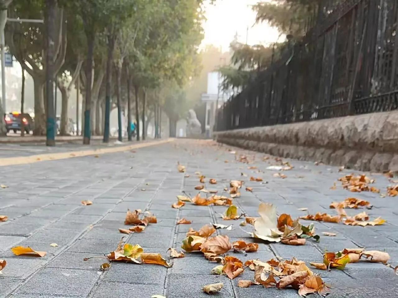 《华年》

   清 晨 步 量 街，
   人 去 风 旋 叶。
   ​物 