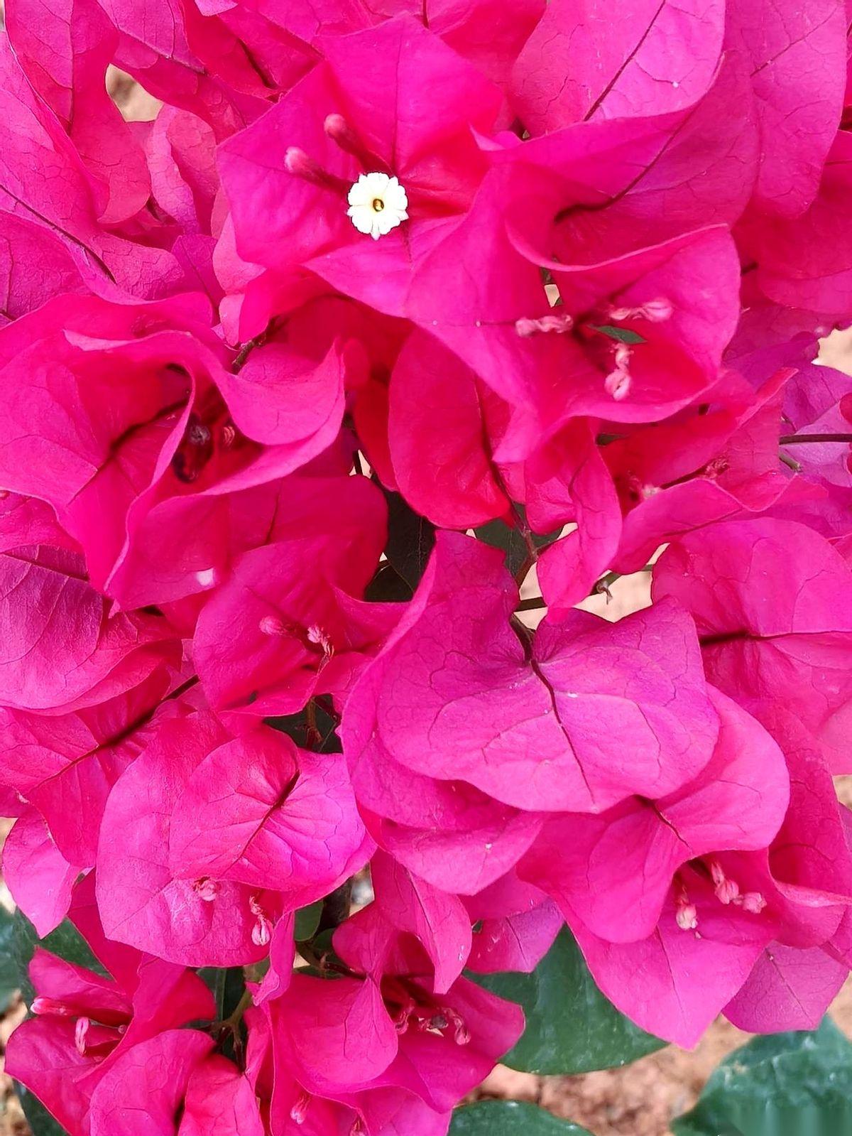 讲个2008年新加坡公司给外籍员工的规矩。
发薪日，你撕开信封，手指划过那串数字