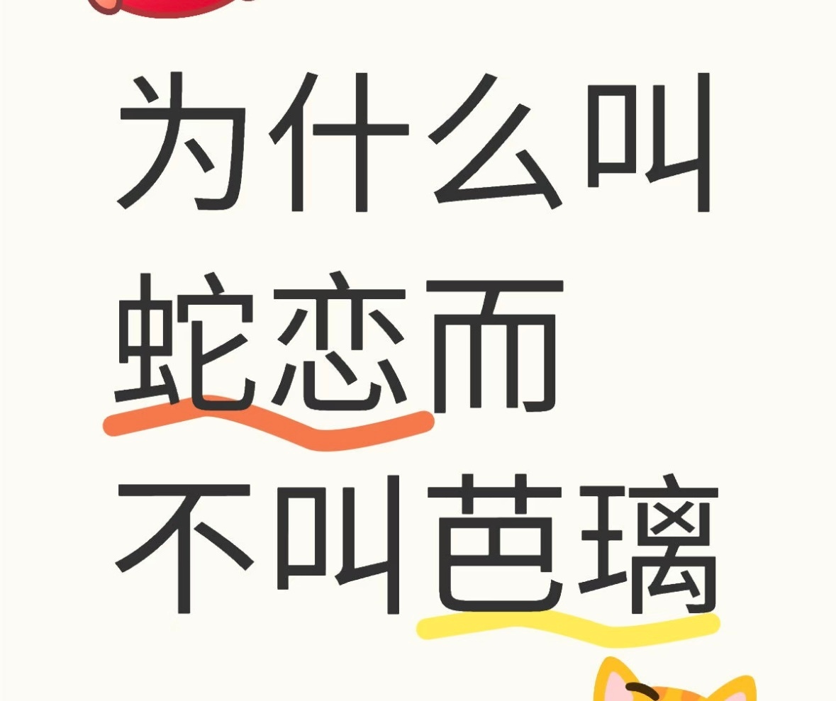 那粉丝名就叫芭璃世家 