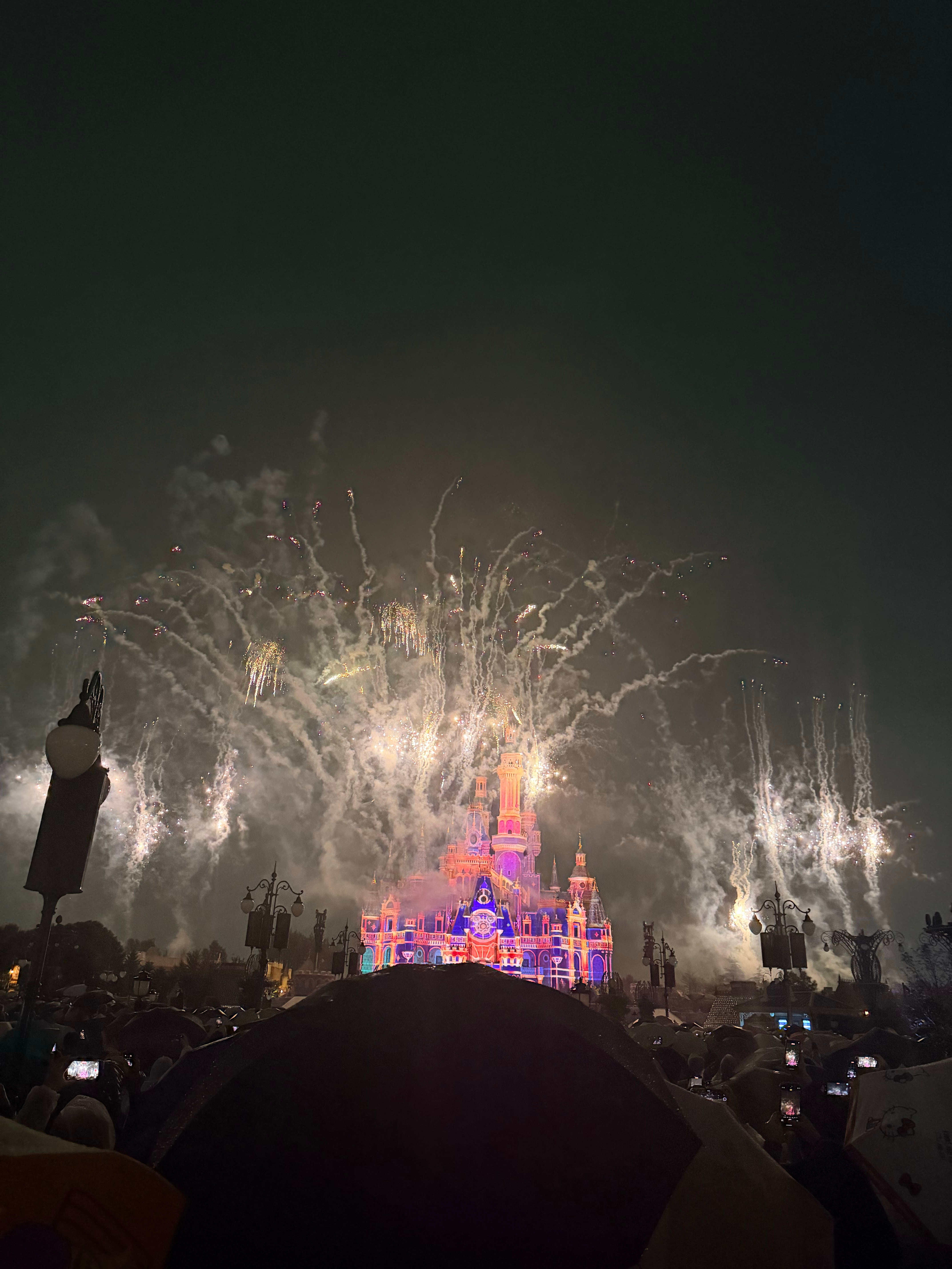 前面没遮挡的是猪夫拍的，后面是我拍的好多遮挡物[苦涩] ​​​