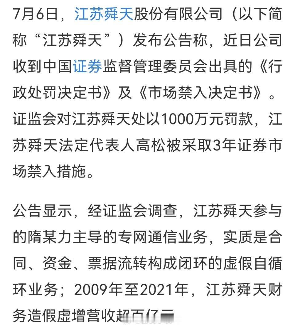 江苏舜天参与的隋某力主导的专网通信业务，实质是合同、资金、票据流转构成闭环的虚假