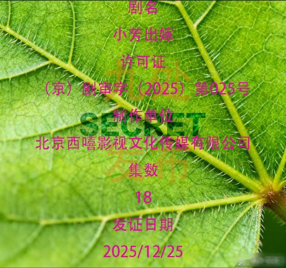 王影璐、辛云来《小芳出嫁》过审下证，共18集 