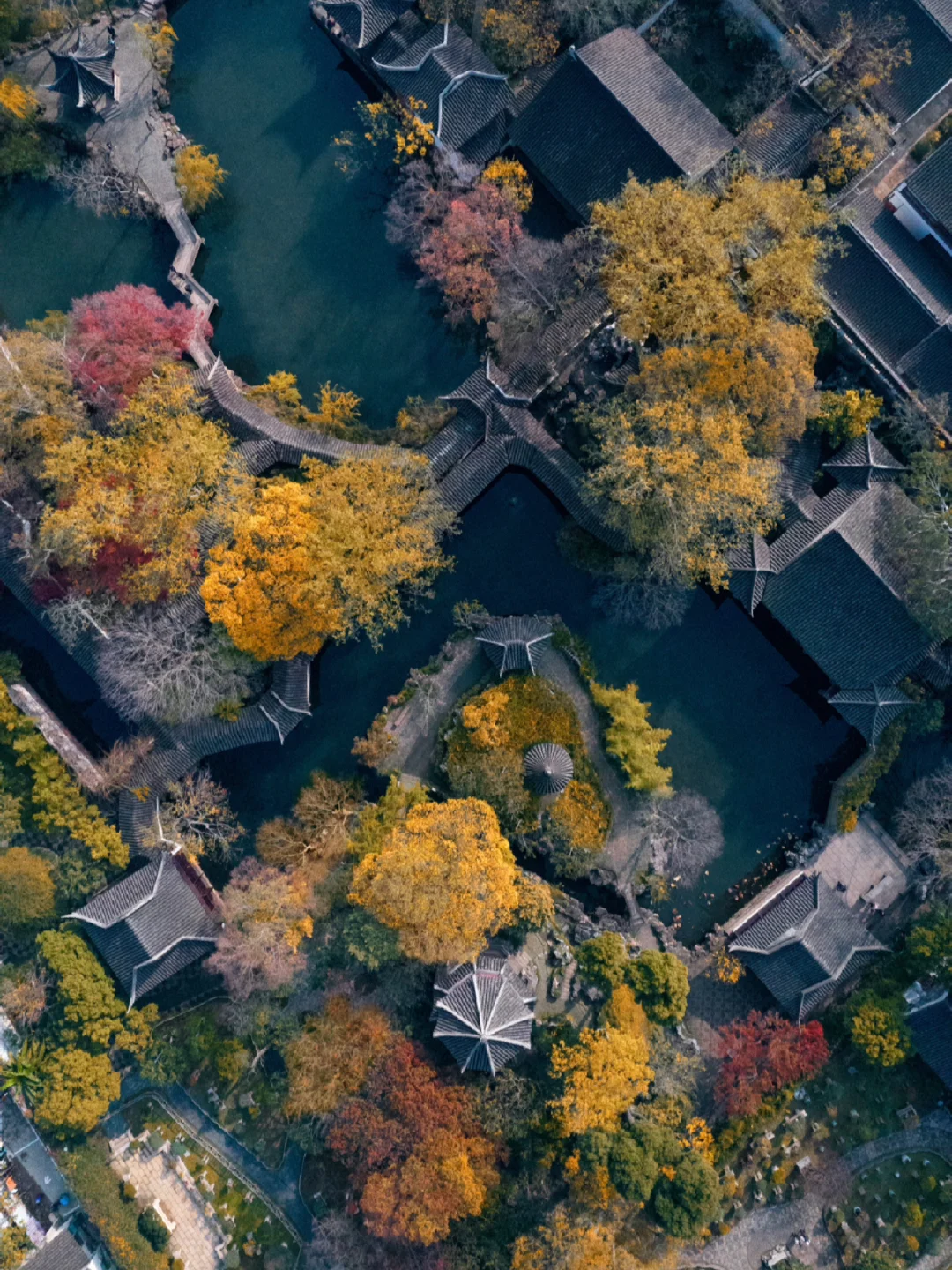 苏州旅游｜一入秋🍂，苏州就成了姑苏🍁