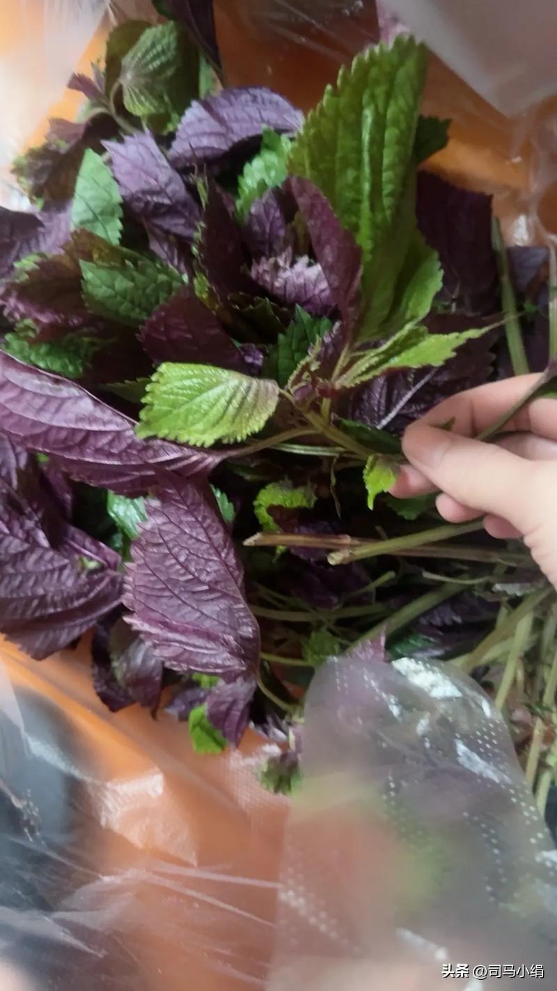 新年爱好打卡这种菜怎么做才好吃？亲戚送的。