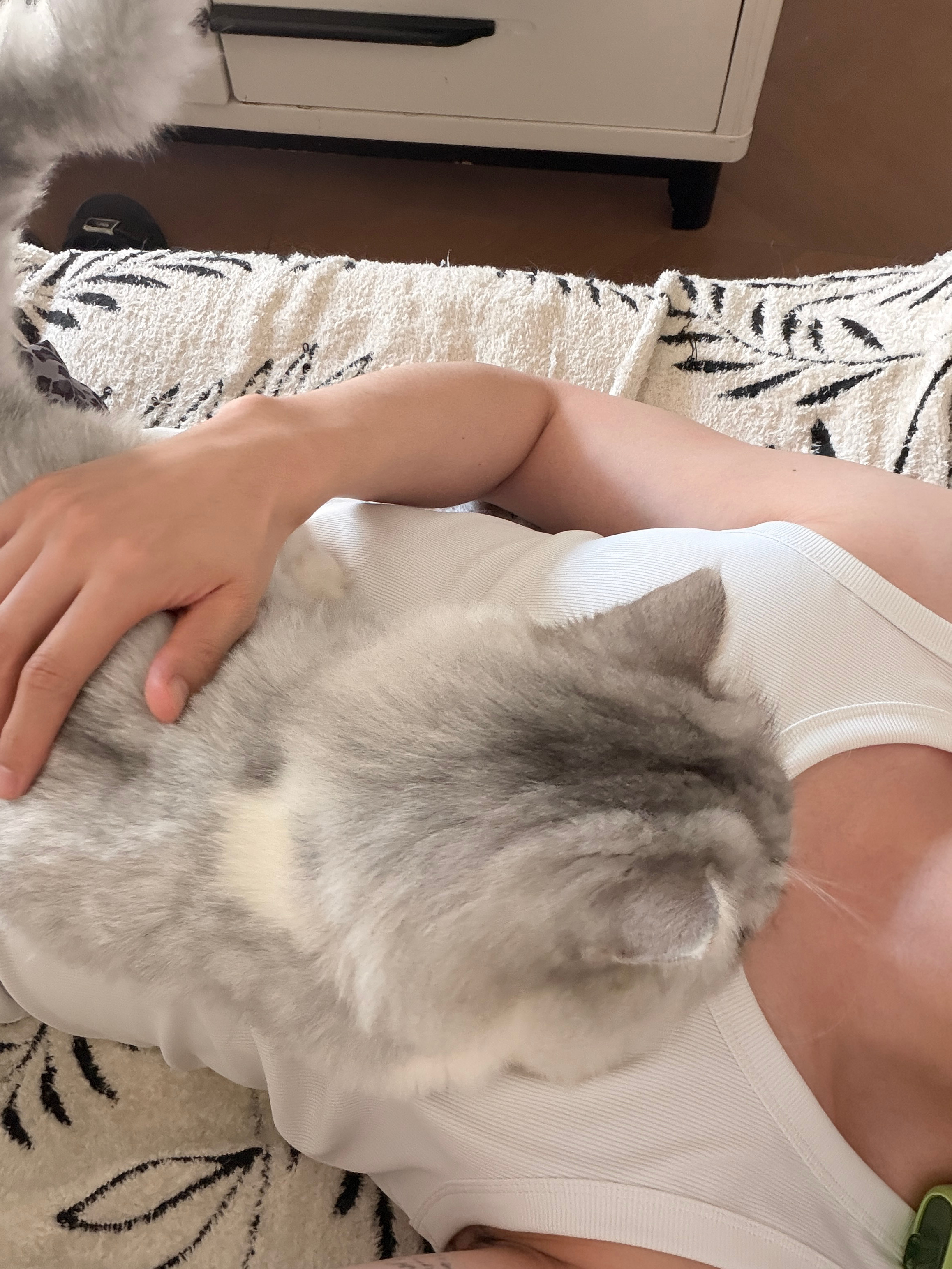 真好啊 同为矮脚 sunnyhappy都不愿意趴人身上的 ​​​