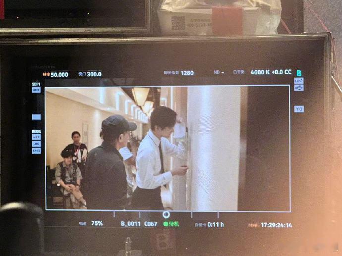 陈妍希看看可爱的小狗在干嘛姐姐看看我呗