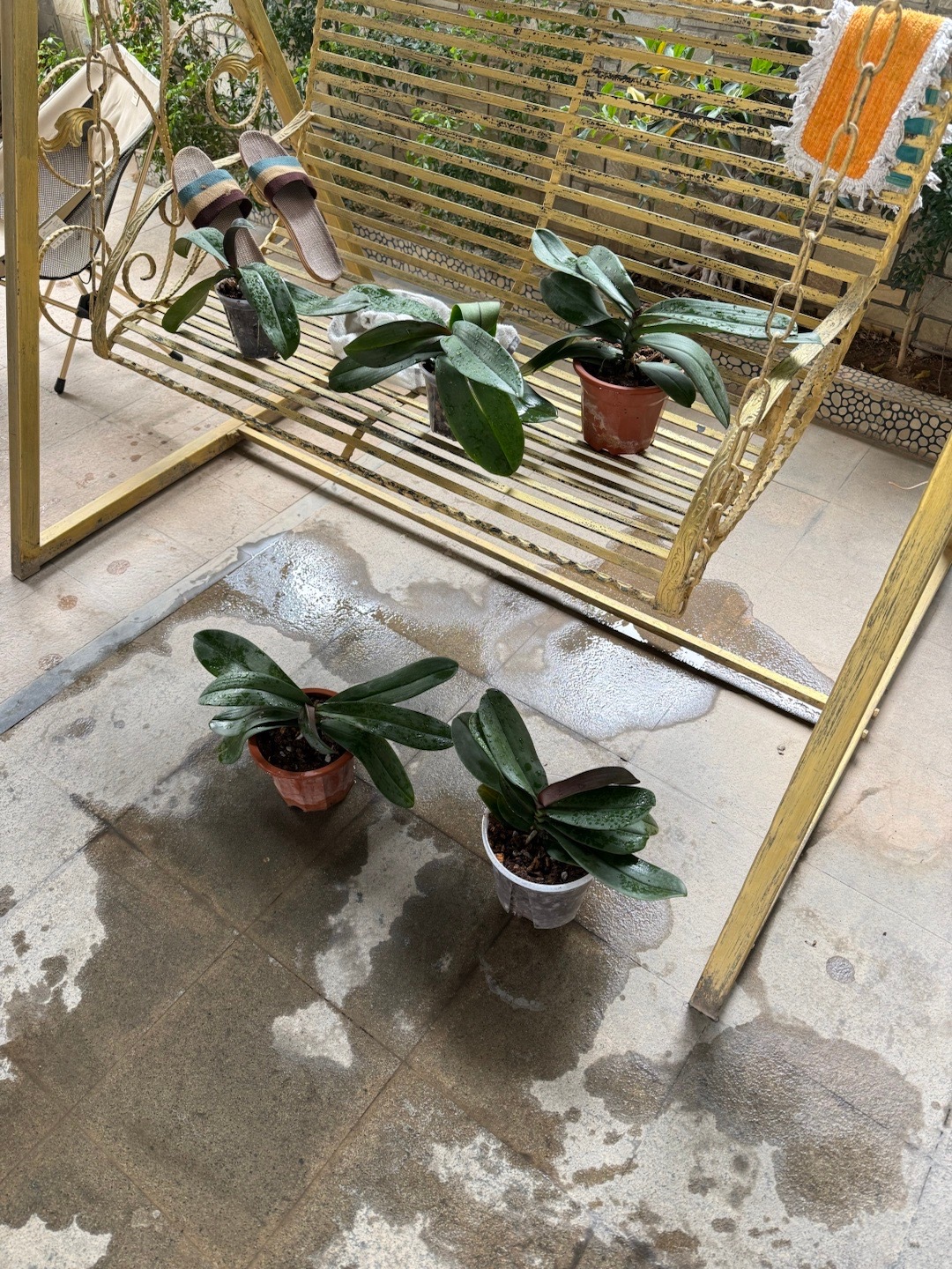 最近的新欢和旧爱家里越来越美美的小灵魂慢慢喜欢冬天❄️ 