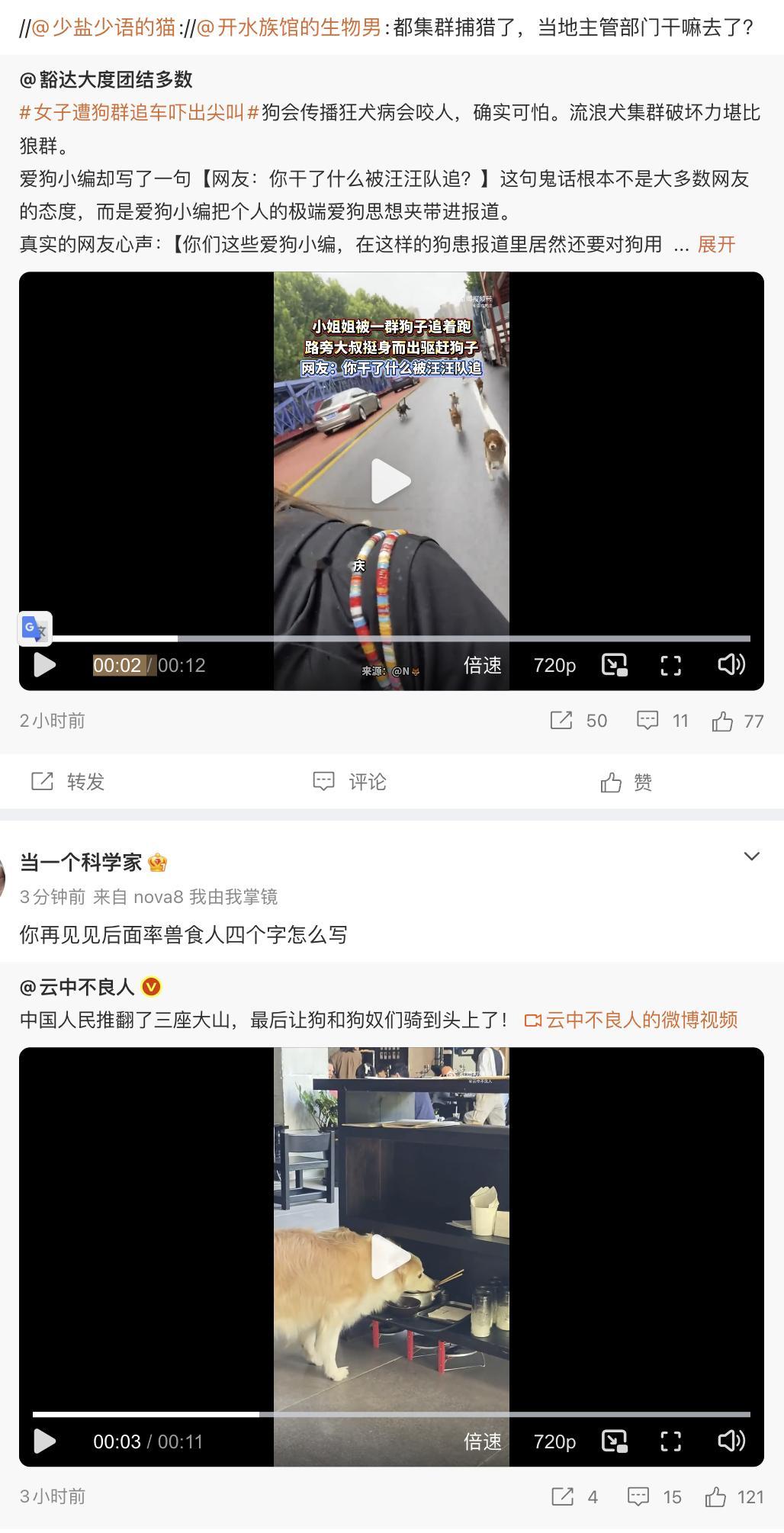 追着人捕猎，进餐馆觅食，狗权至上～ 