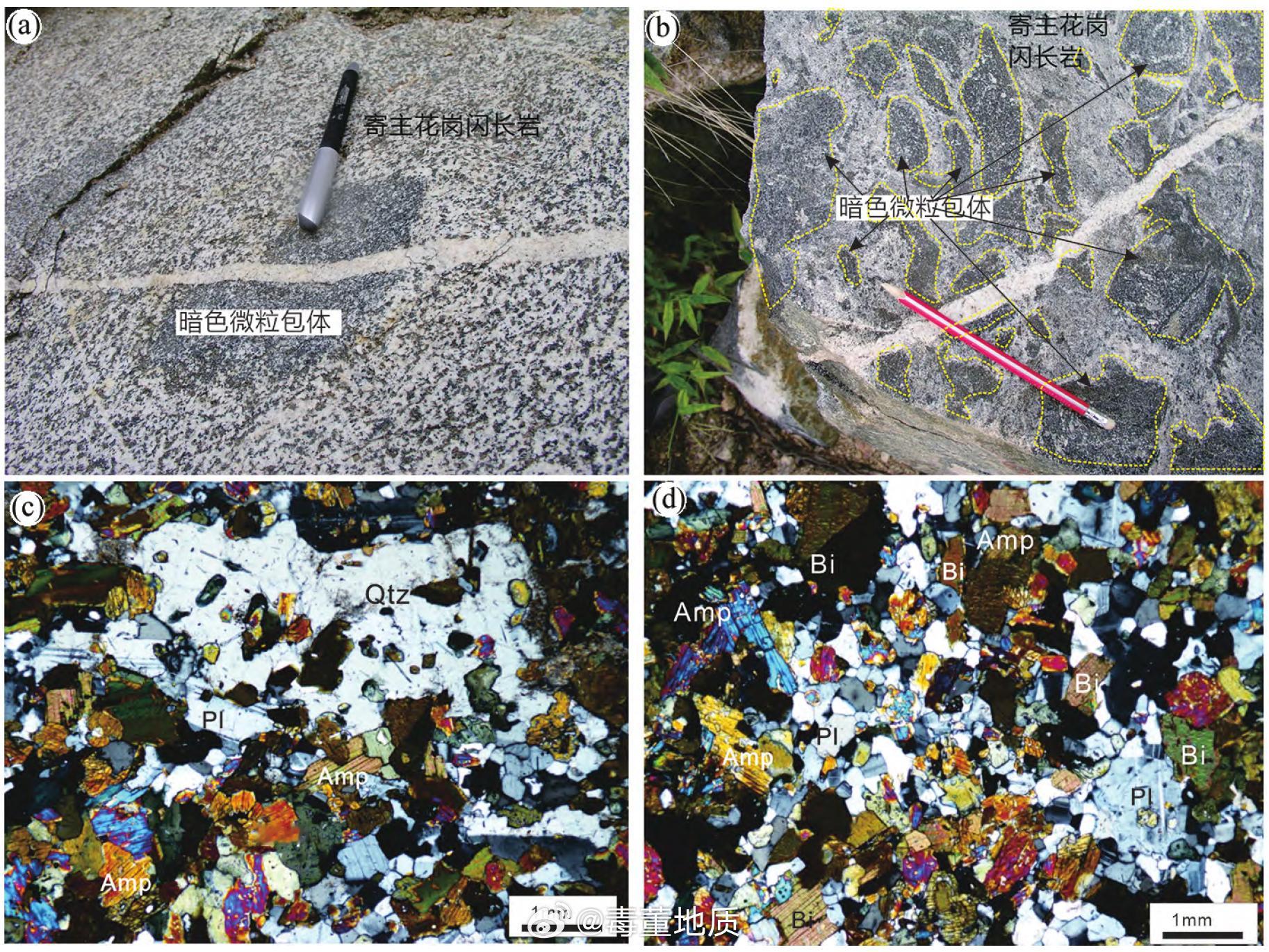 秦岭造山带中期(230～210 Ma) 花岗闪长岩中暗色微粒包体特征( a、b)