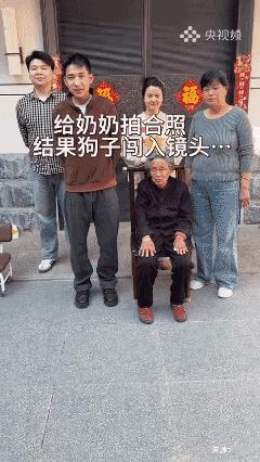 全家福怎么少得了它！[赞]