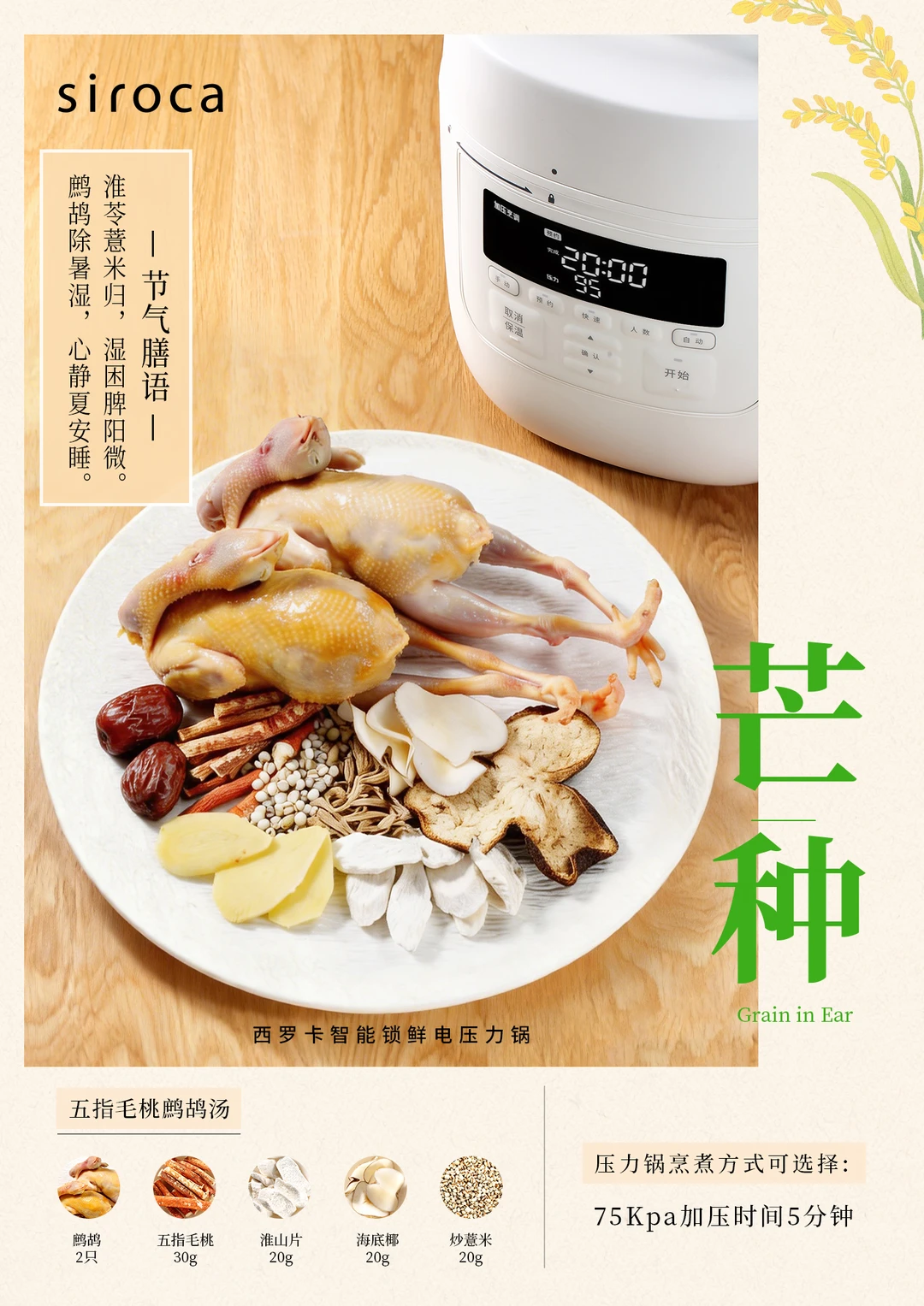 芒种养生｜五指毛桃鹧鸪汤✨