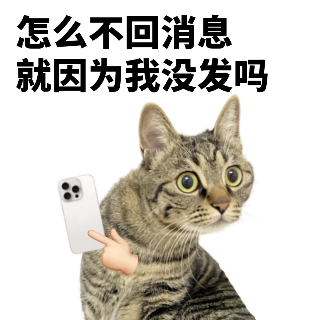 不回消息表情包