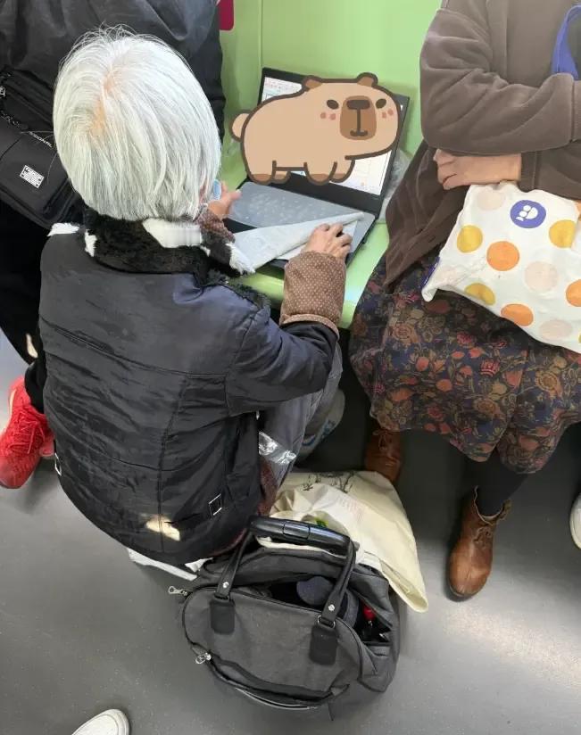 老财务或者年轻的程序员