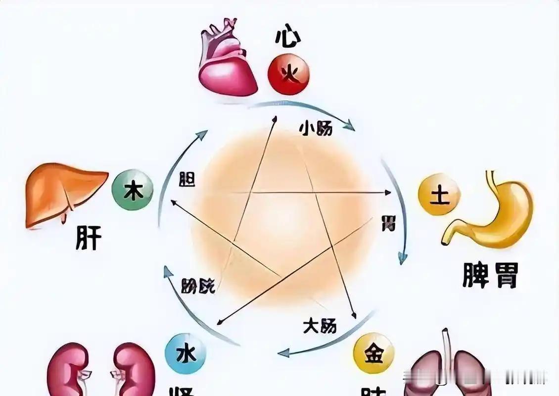 五脏衰退的表现，对照看看，你占了几条


一、肾
         表现：腰膝酸