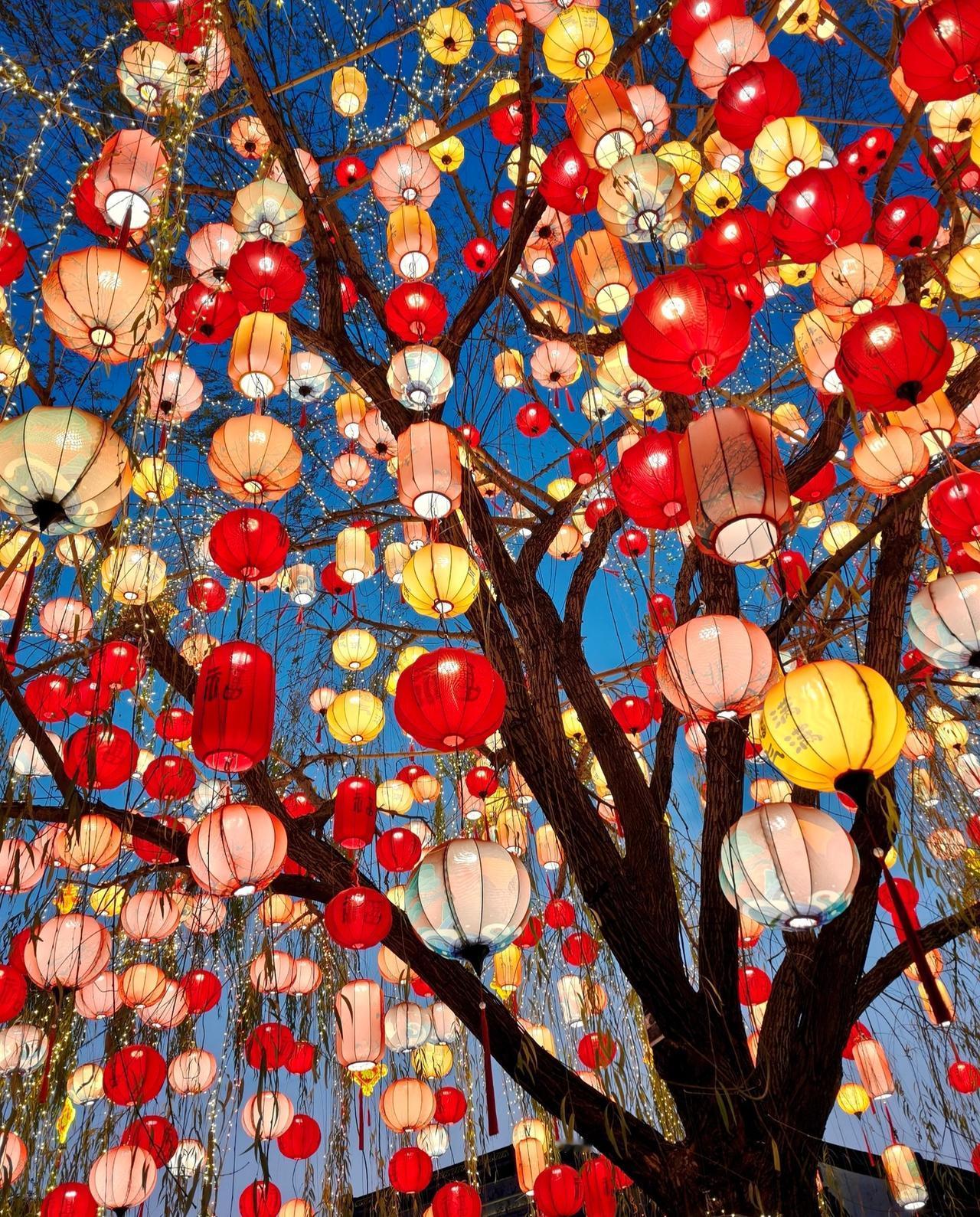 南京·老门东｜东风夜放花千树🏮
年关将至
今年老门东花灯布置的
也太有节日的氛