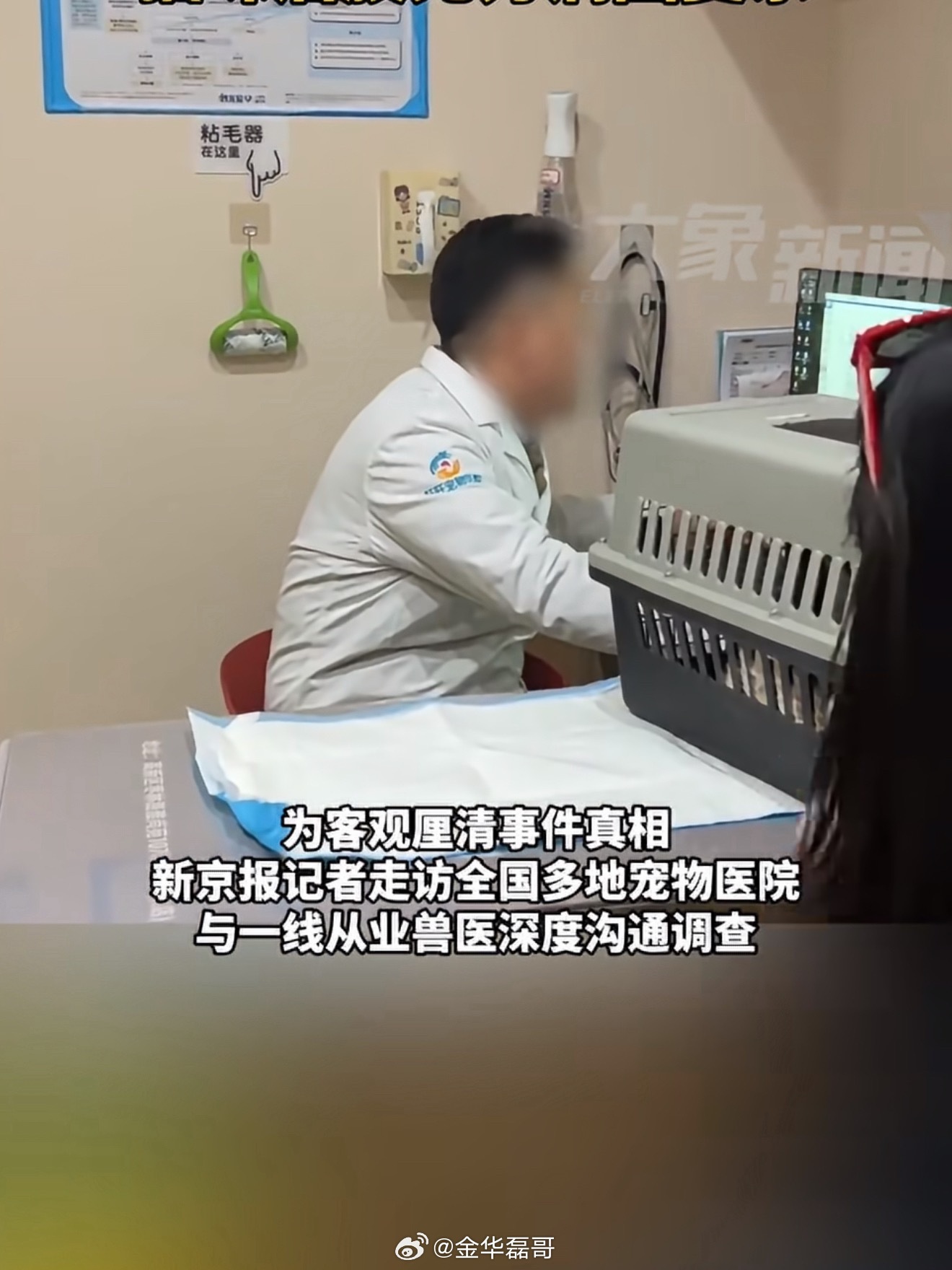 千猫瘫痪多地医院真相调查别一看到猫咪瘫痪就急着把责任全推给猫粮，心疼毛孩子可以理