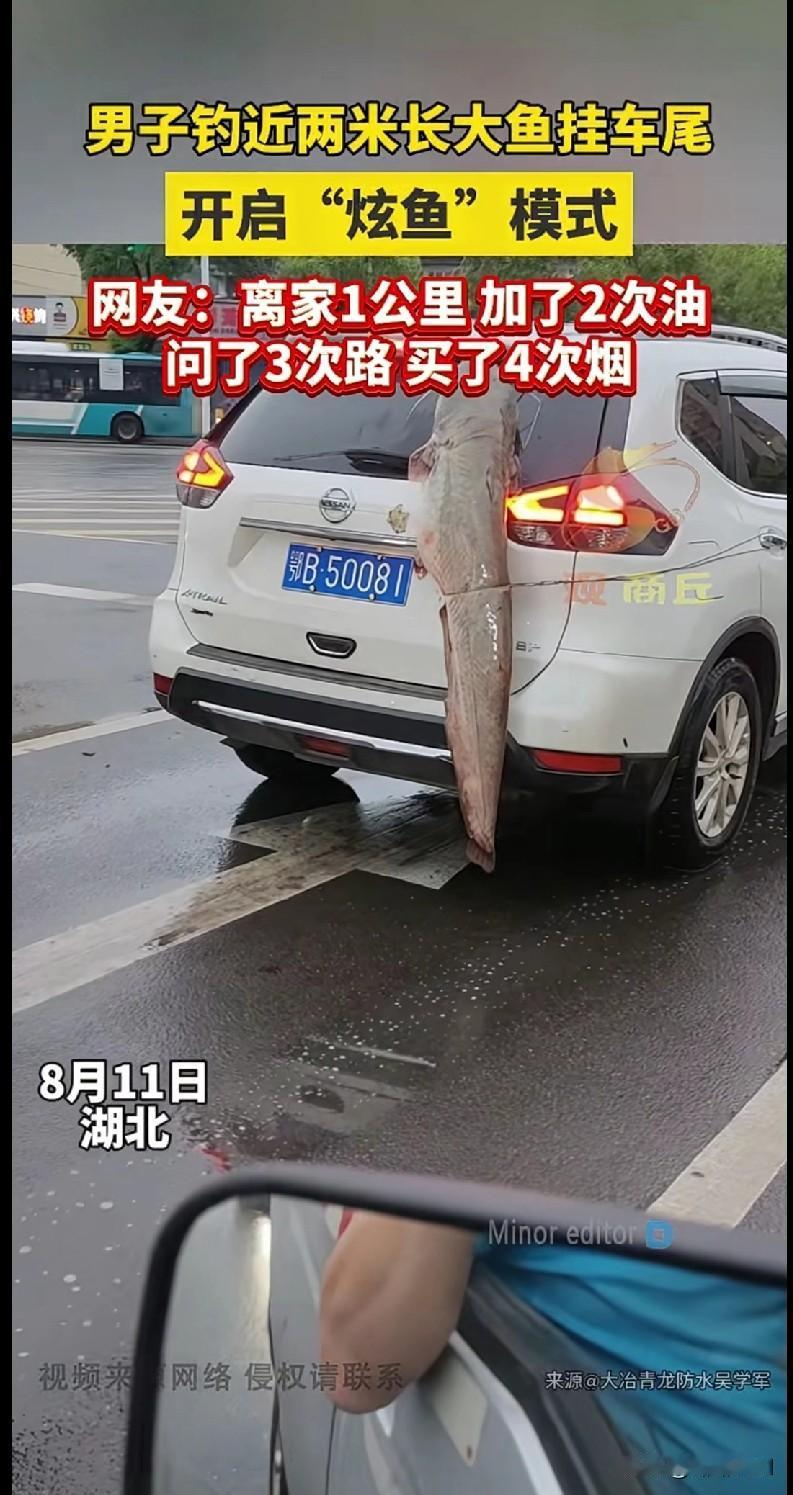 “家人们快来看这硬核‘炫鱼’！湖北一男子钓了条近两米的大鱼，直接挂在车尾就上路了
