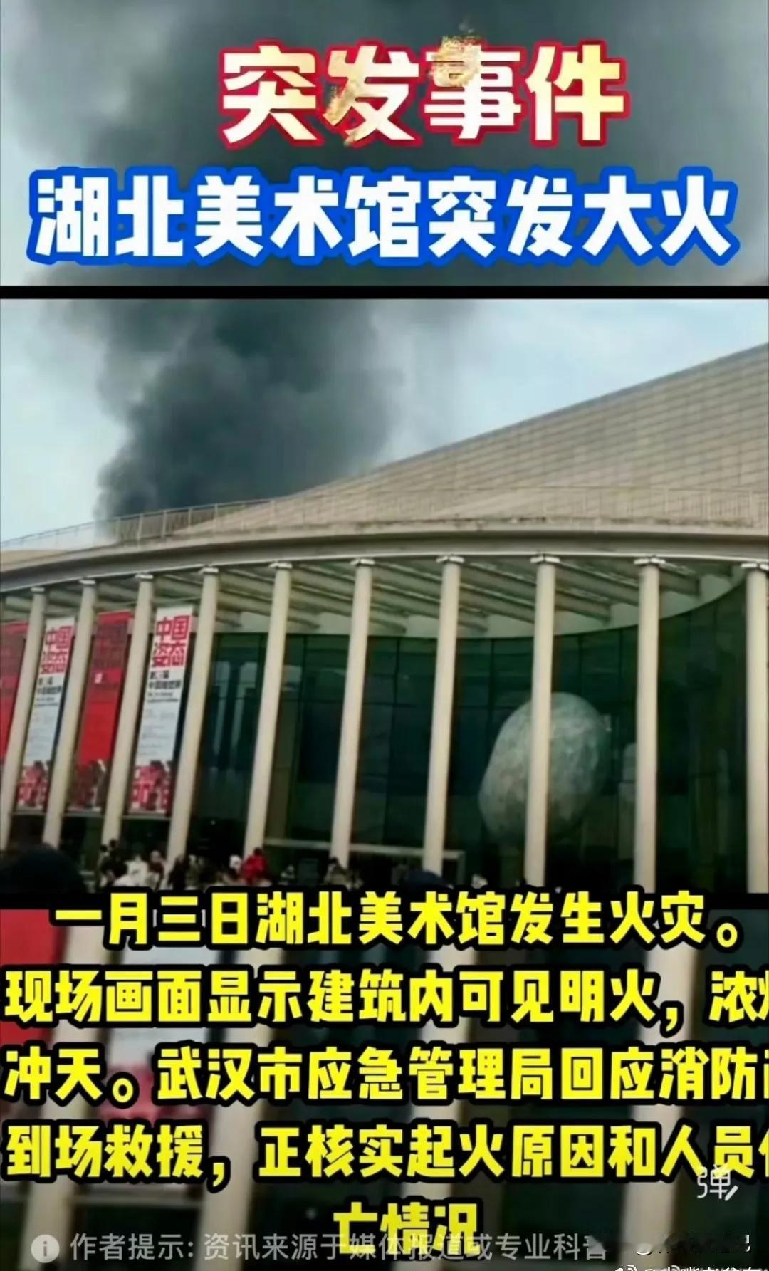 南博没着火
国博也没事
湖北美术馆却点燃了第一把火，请大家一定要相信这肯定是巧合