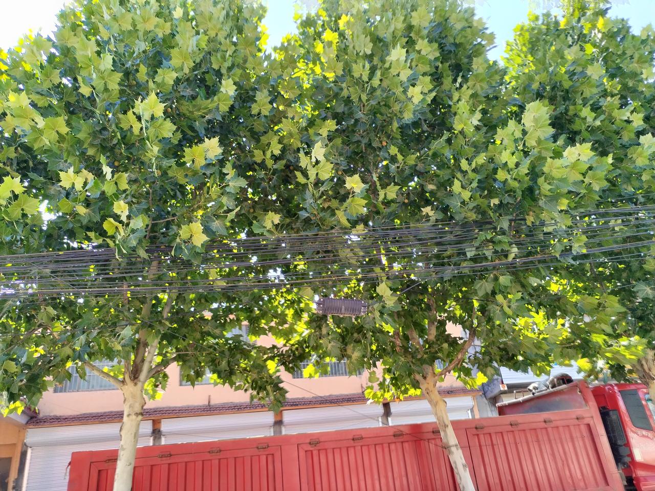 农村老人，如果每个月有500-600元自由支出。对于广大农村人，基本上能解决生活