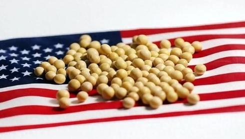 美国大豆为什么非要卖给中国？其实，站在美国的角度，三年不卖给中国大豆，扩大国内内