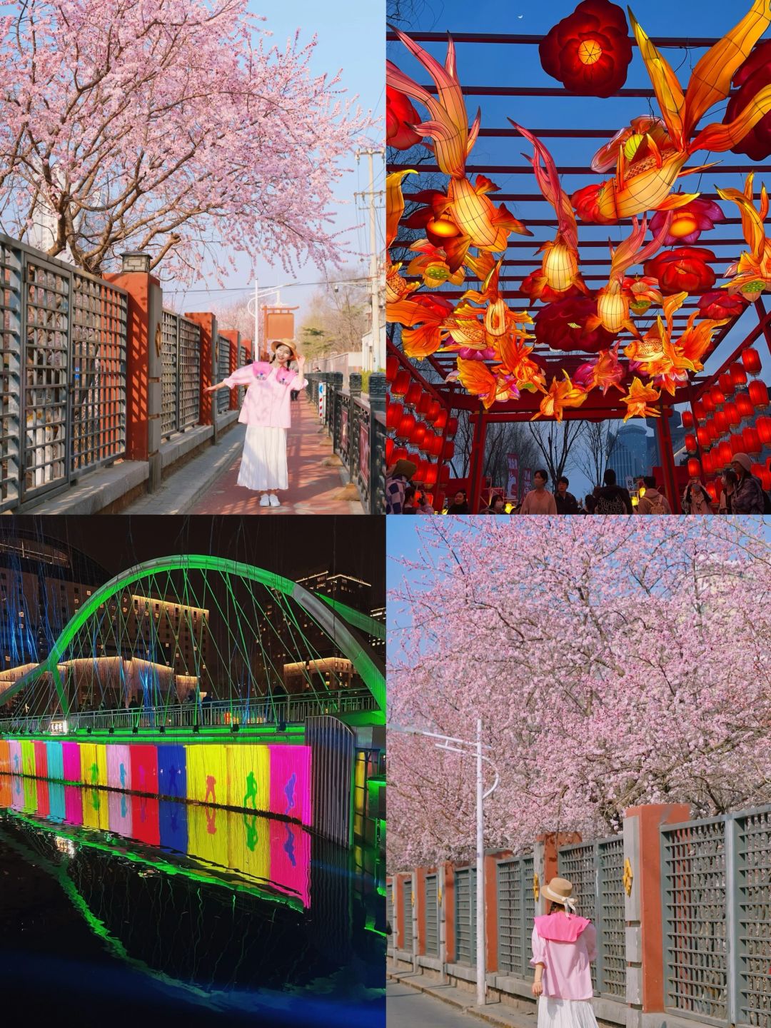3.19北京赏花🌸+看夜景citywalk人少好看❗️