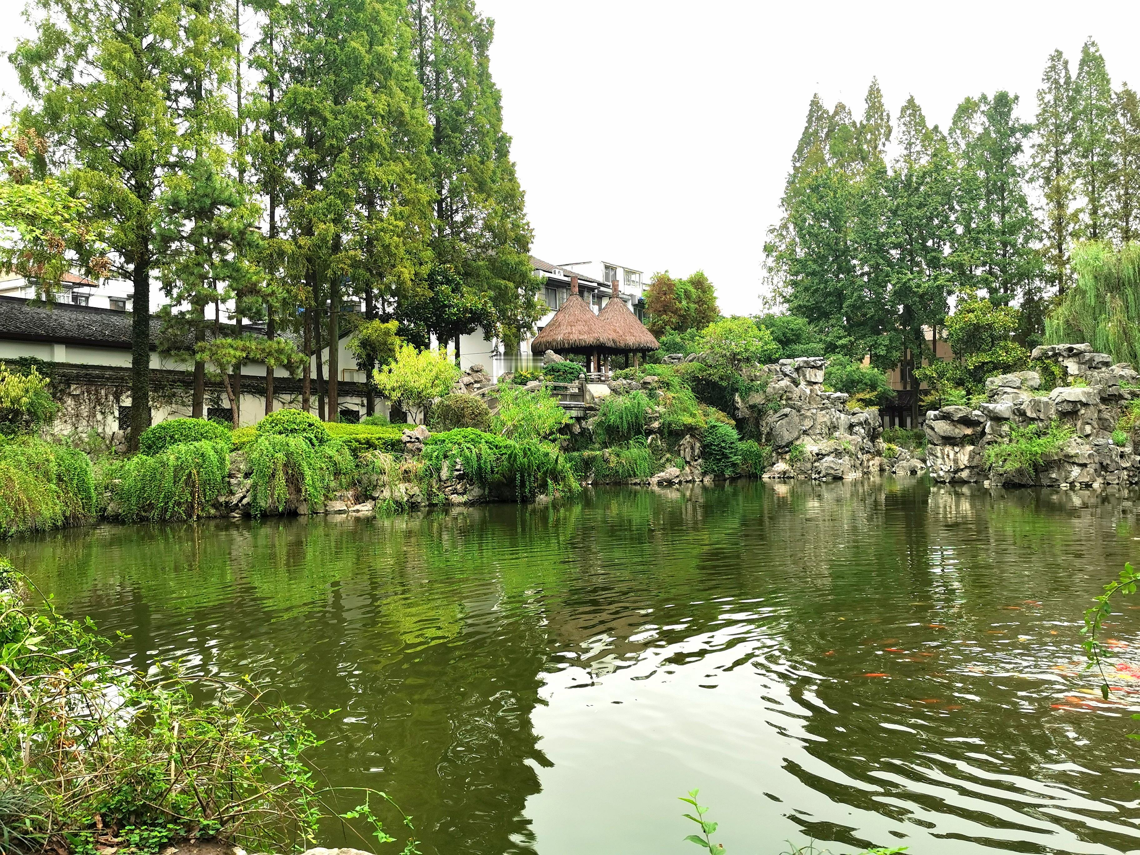 浙江绍兴 