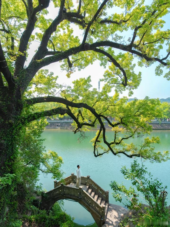 躲进这片绿意里，看湖水静静流淌，慢悠悠享受独处时光。 