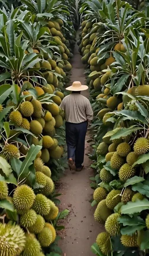 正能量分享5133
一个人的能力大小，不仅意味着物质资源的丰富，更象征着在社会竞