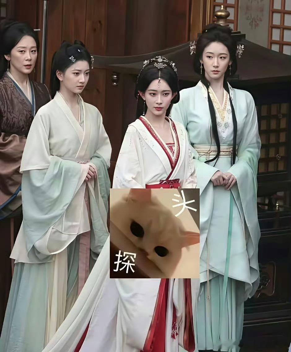 一时之间没分出来谁是主角 