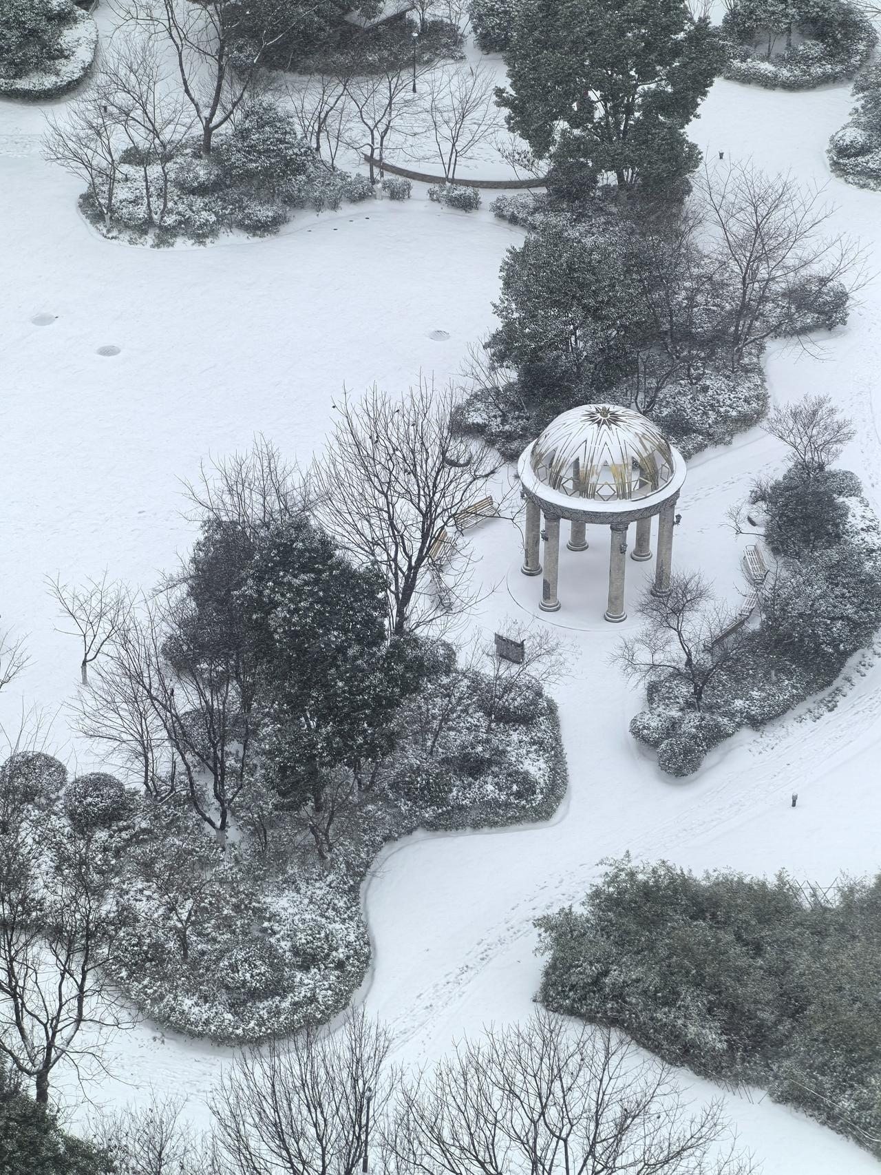 乙巳岁末，合肥竟一夜白头。晨起推窗，天地一白，浩浩汤汤。
昨夜风定，雪落无声，晨