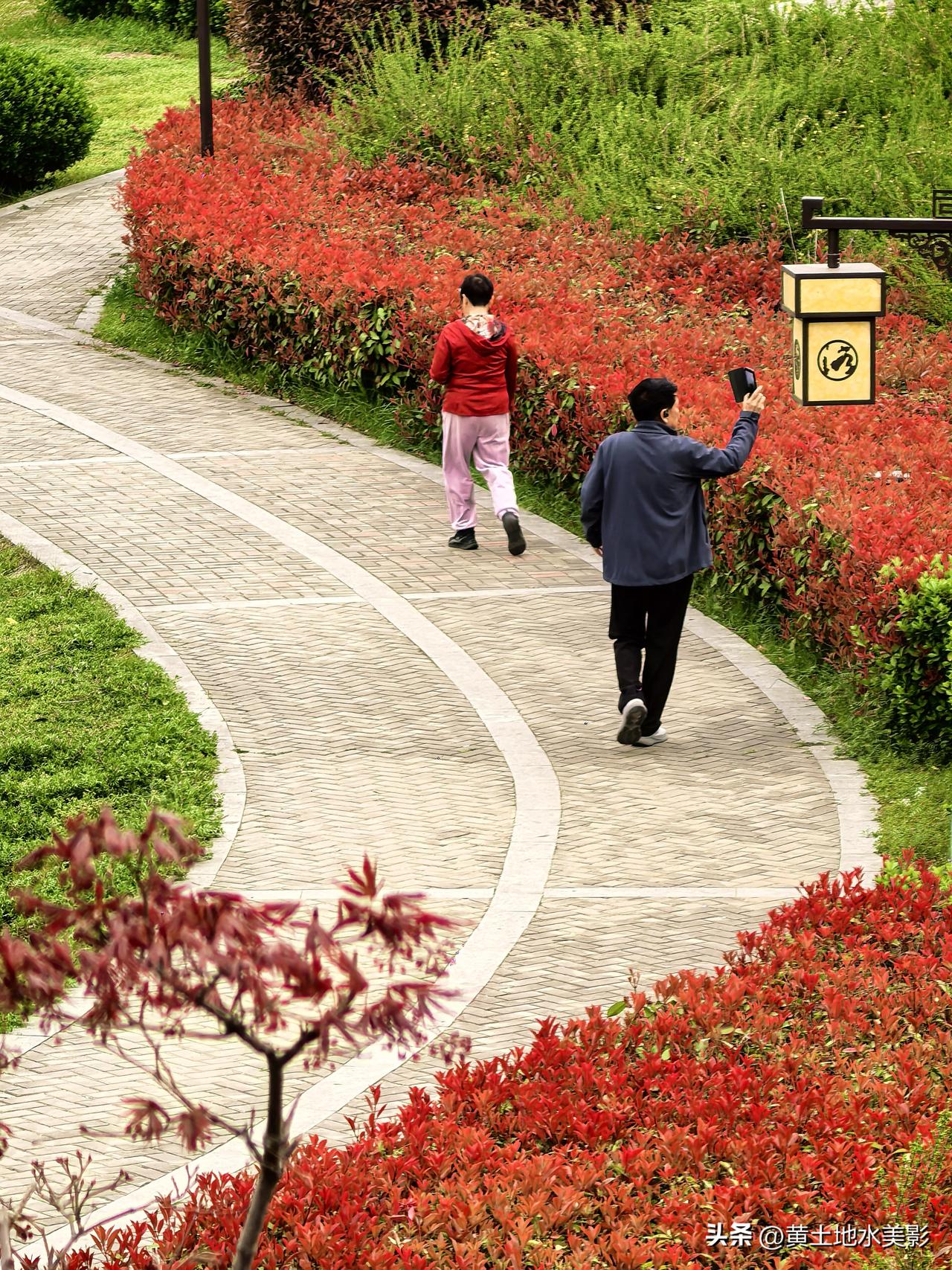 春回大地，万象更新，去疯去野去回春

位于洛阳洛浦公园焦柳铁路大桥以西的一段景色