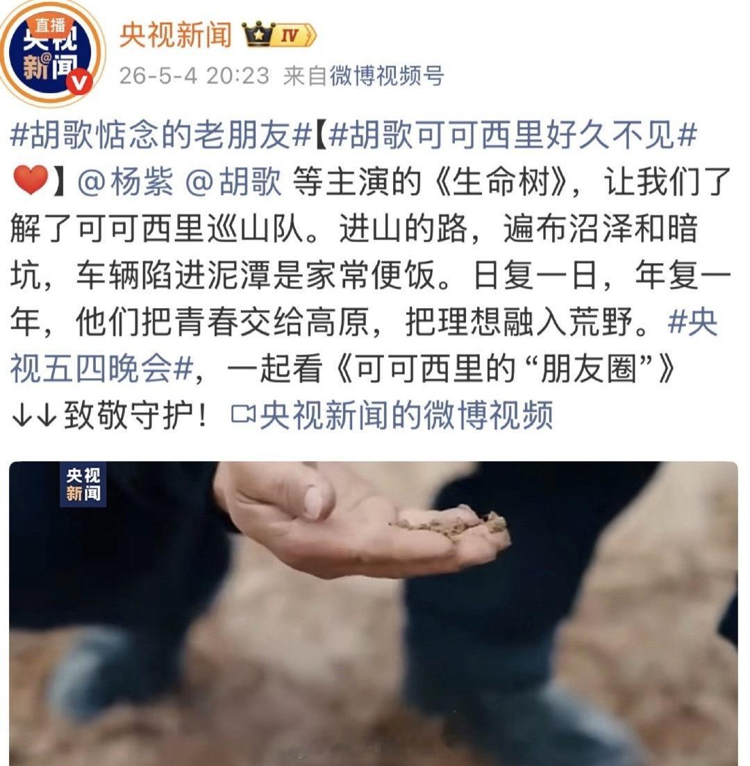 杨紫《生命树》登五四晚会，生命树权威🔥 