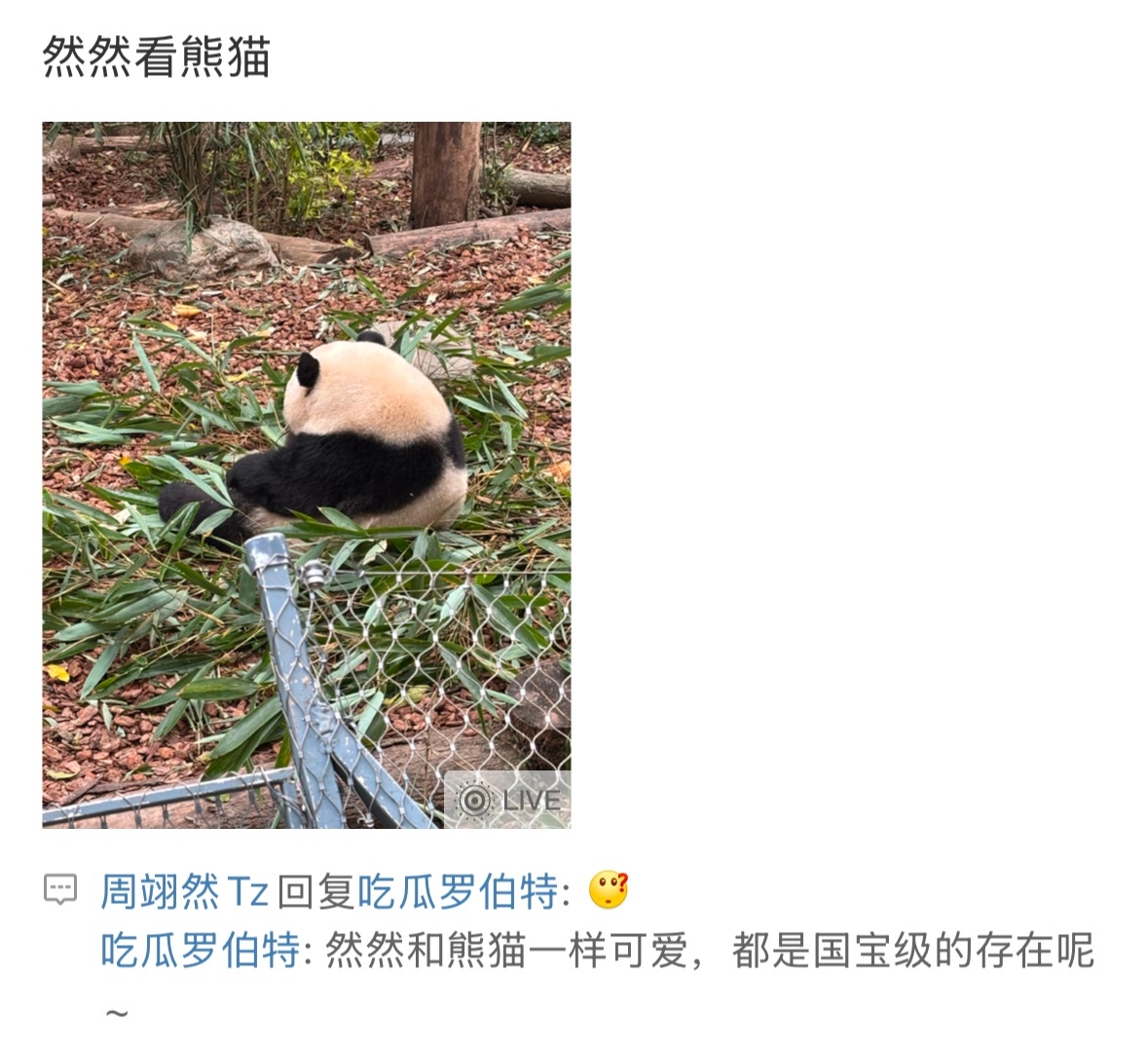 周翊然大战罗伯特 