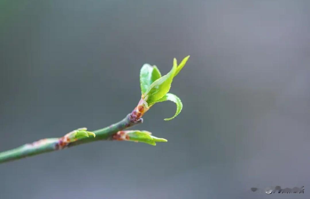 天气预报说北京初一到初七的温度差不多都在零上，那么，进京时的衣服该怎么穿呢？穿羽