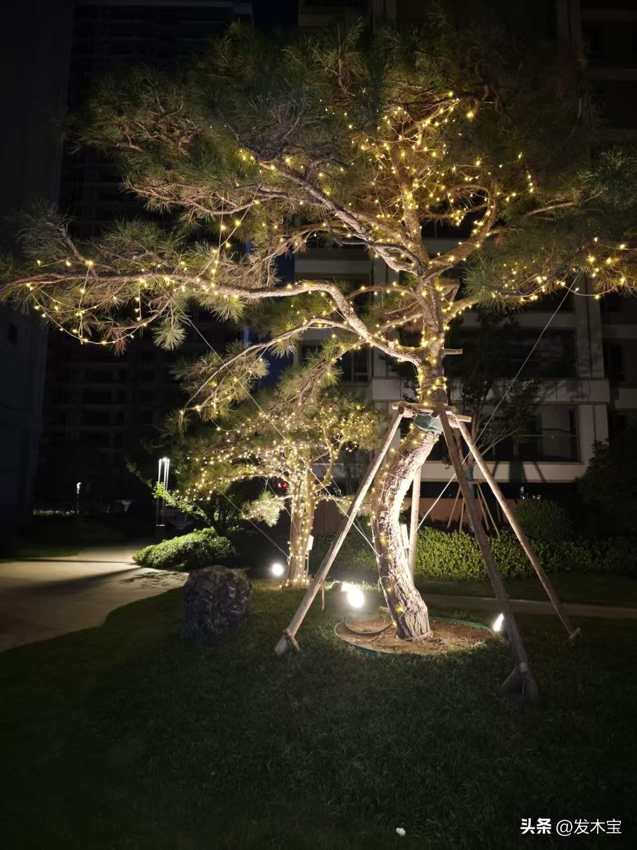 小区李大爷惹上大麻烦了。

他家住顶楼，在顶楼一处拐角的地方，李大爷建了一个小鸽