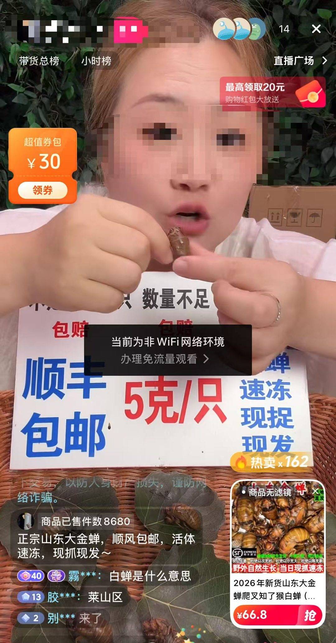 每斤150至200元！ 成都“捕蝉大军”拿手电钻树林捕捉知了