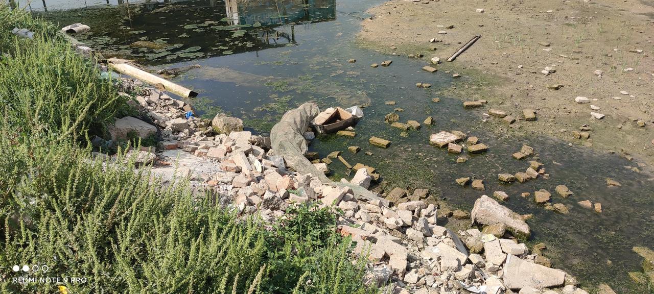 最近到共海湿地公园钓鱼，往往空军而回。钓鱼人也就聊聊数人。通过聊天得知，这两年共