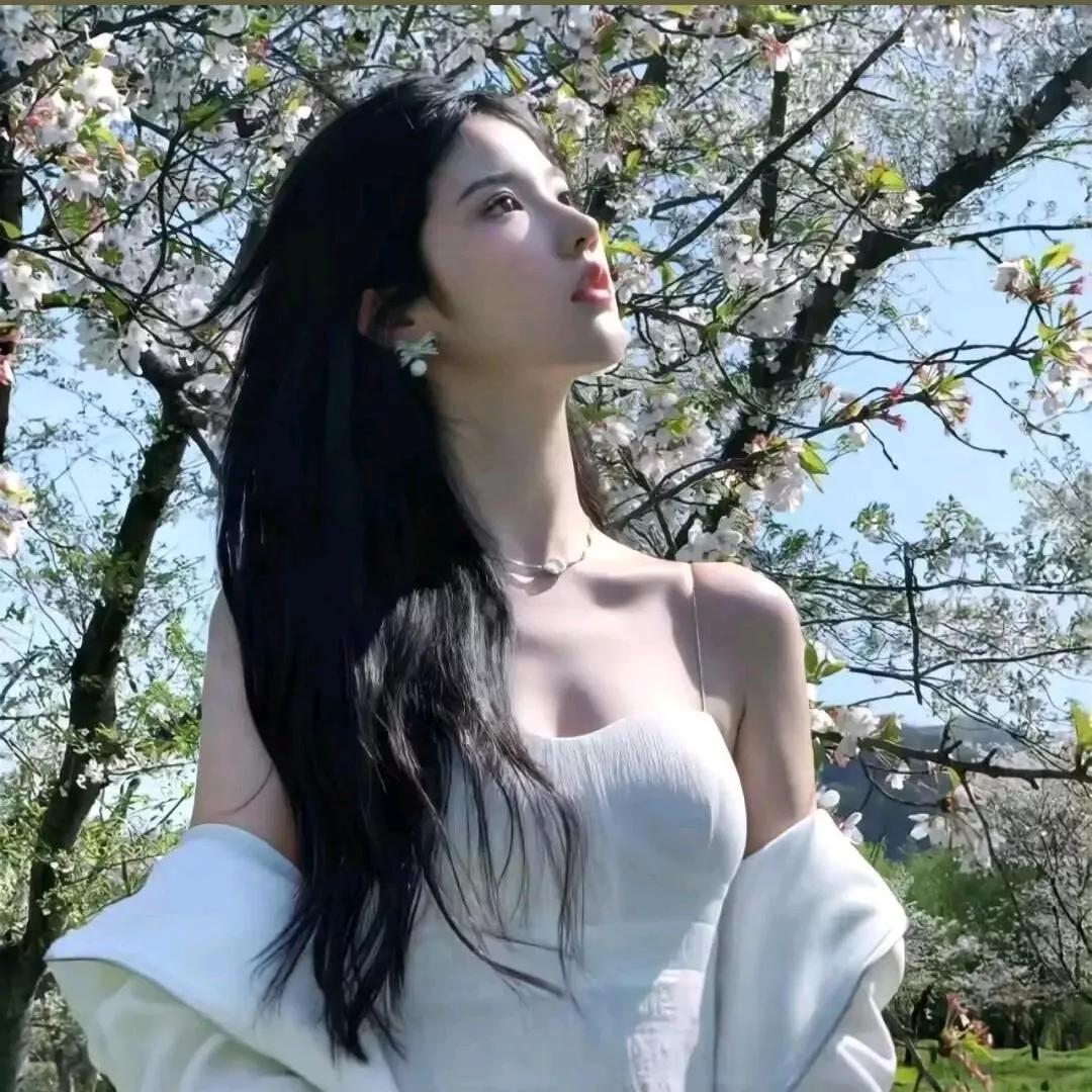 樱花树下，白衣少女，静享春光。