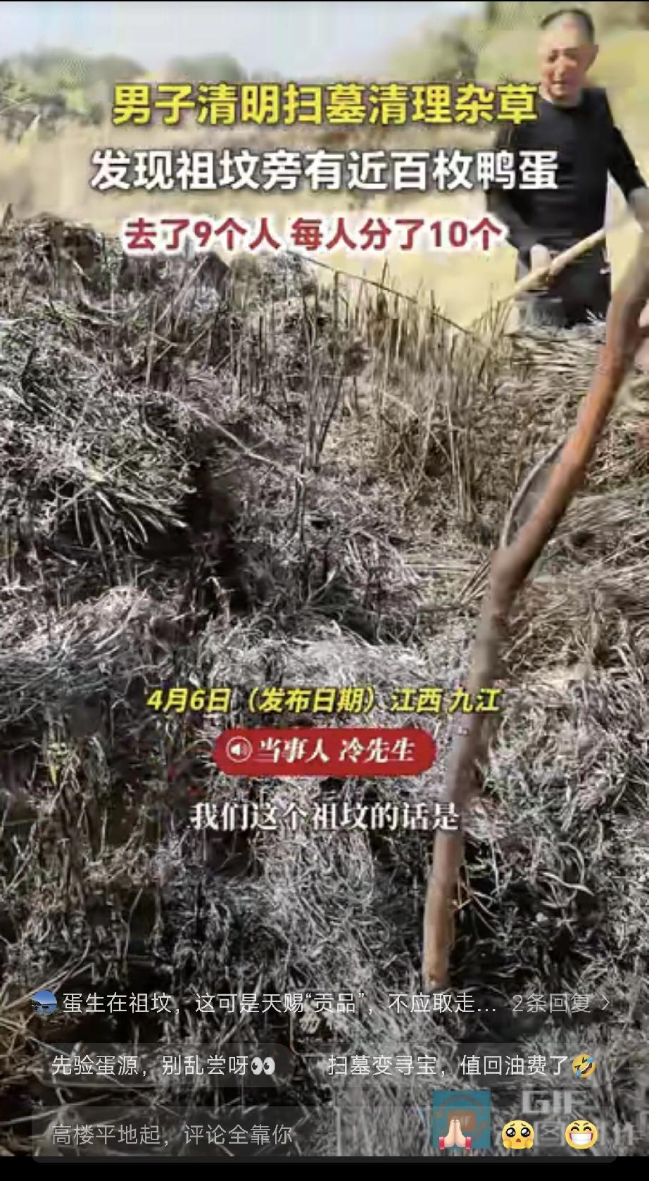 祖宗显灵了！”江西九江，男子清明回乡给太扫墓，清除杂草后在坟上发现成片的鸭蛋，数