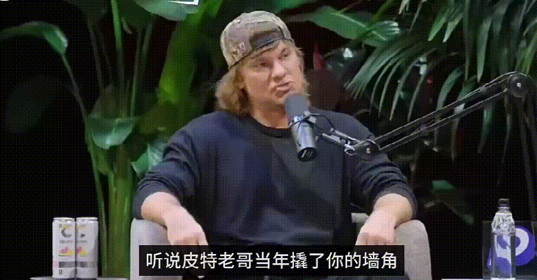 这翻译牛了，泰森曾经被绿了，而且还是布拉德·皮特，这是真的假的啊，以前怎么没印象