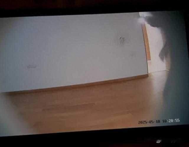 56岁妻子拍下80次上门监控 离婚举证出轨，为何这份证据被判无效？